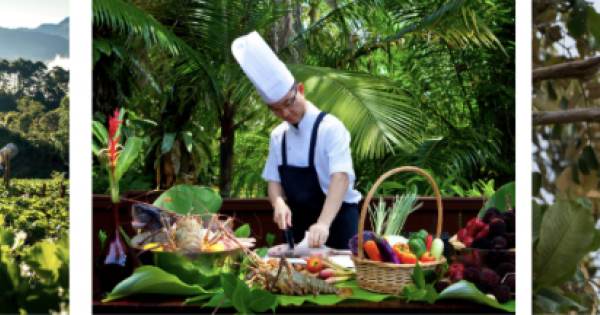 Enriched Escapes with YTL Hotels’ ‘Skillcations’ Across Malaysia