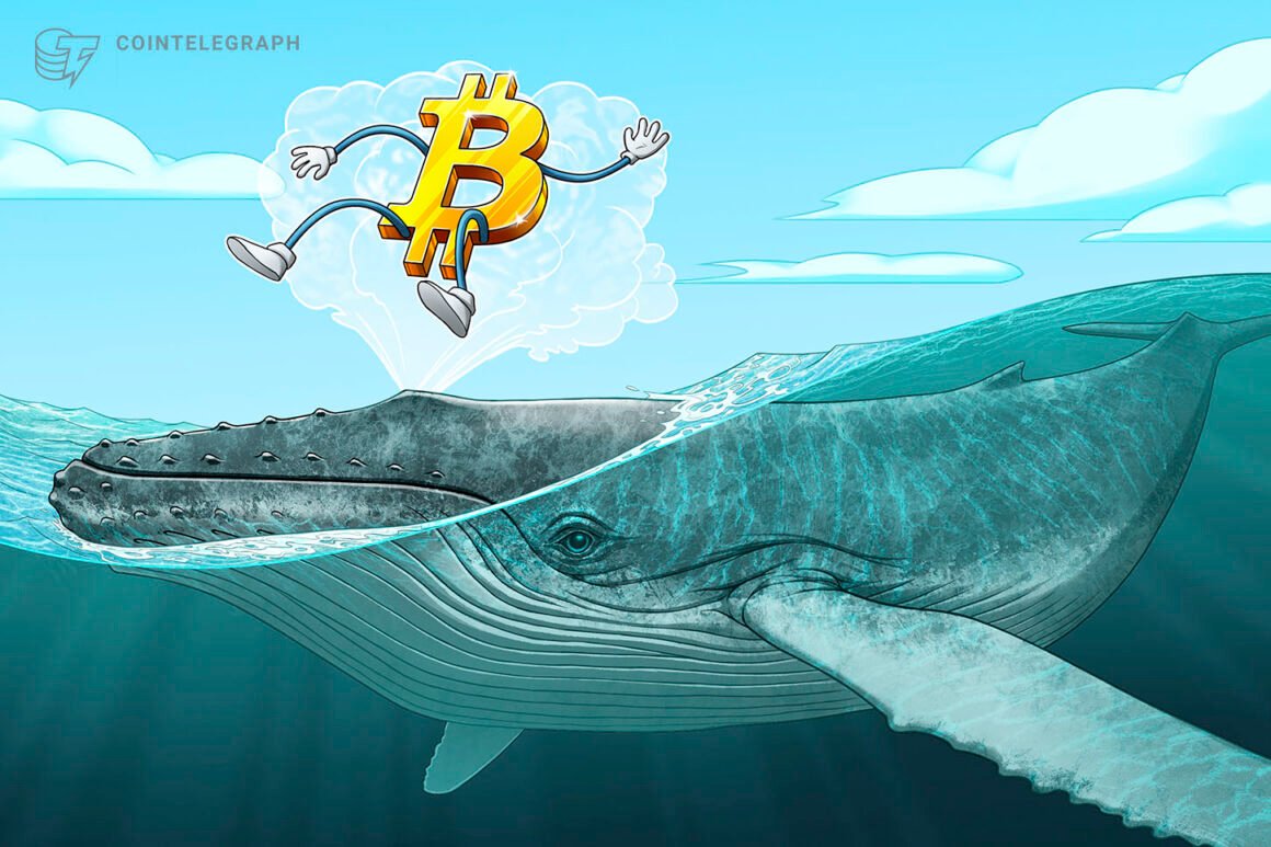 Crypto whales accumulate as bear market nears late stage: CryptoQuant