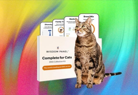 What’s the Best Pet DNA Test? We Tested the Most Popular Ones
